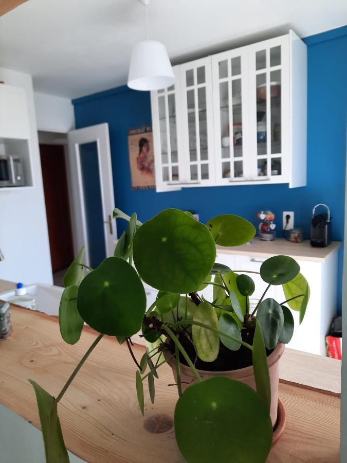 Appart Proche Plage Avec Grand Balcon Cannes Extérieur photo